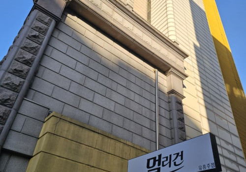 강남쩜오 멀리건2