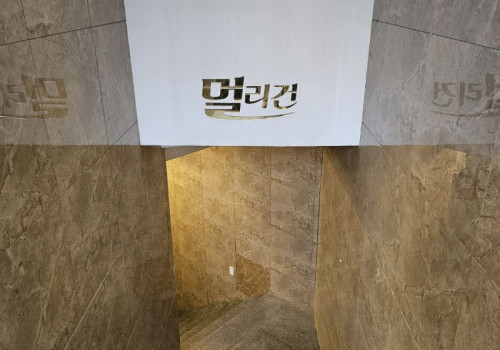 강남쩜오 멀리건5